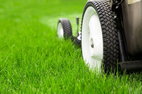 Acheter une bonne tondeuse pour jardin à Saint-Denis à La Réunion