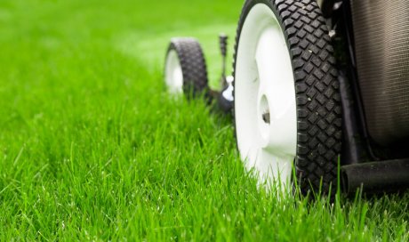 Acheter une bonne tondeuse pour jardin à Saint-Denis à La Réunion